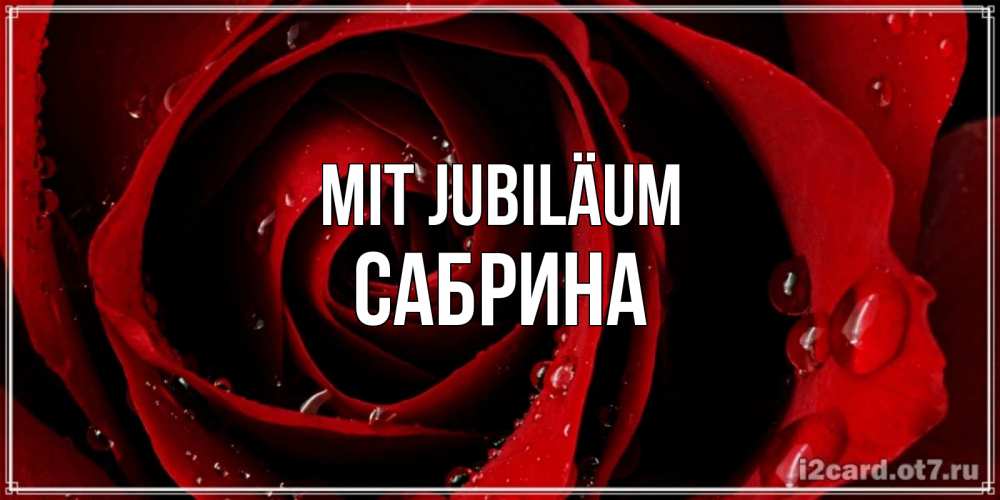 Открытка на каждый день с именем, Сабрина Mit Jubiläum крупная бордовая роза Прикольная открытка с пожеланием онлайн скачать бесплатно 