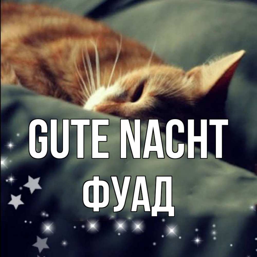 Открытка на каждый день с именем, Фуад Gute Nacht кроватка Прикольная открытка с пожеланием онлайн скачать бесплатно 