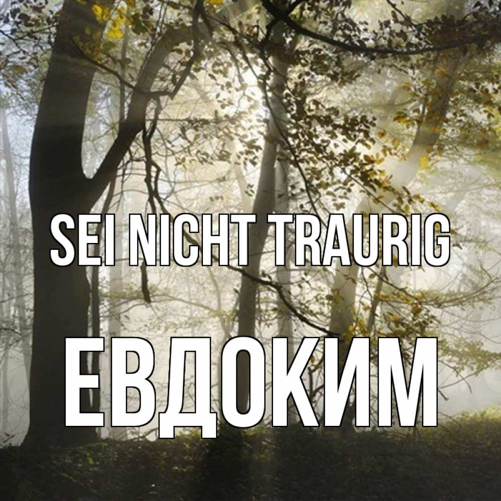 Открытка на каждый день с именем, Евдоким Sei nicht traurig лес и свет Прикольная открытка с пожеланием онлайн скачать бесплатно 