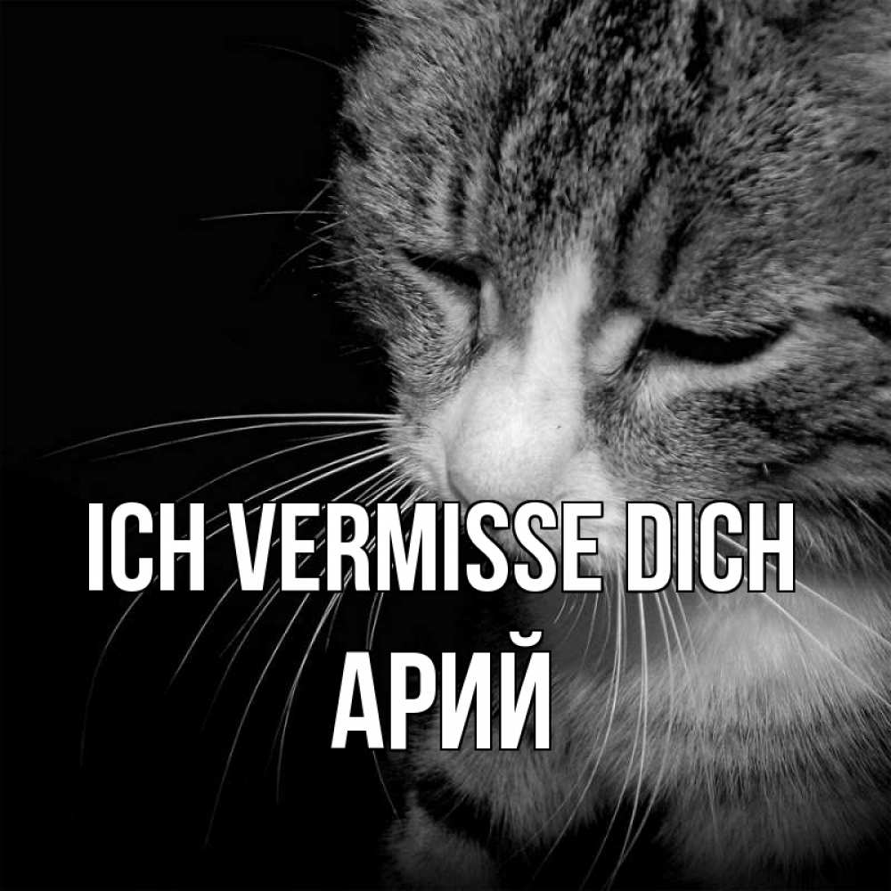 Открытка на каждый день с именем, Арий Ich vermisse dich мне скучно Прикольная открытка с пожеланием онлайн скачать бесплатно 