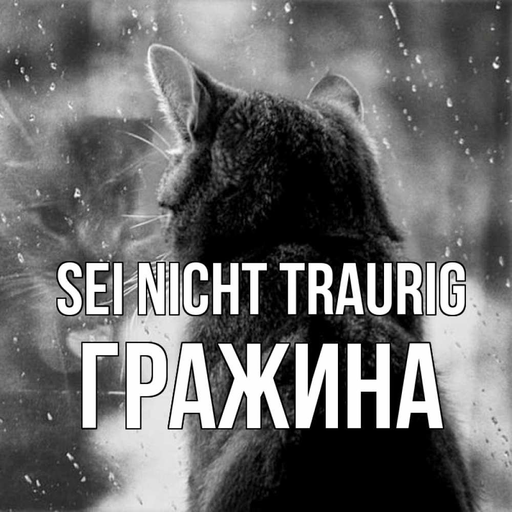 Открытка на каждый день с именем, Гражина Sei nicht traurig отражение кота 1 Прикольная открытка с пожеланием онлайн скачать бесплатно 