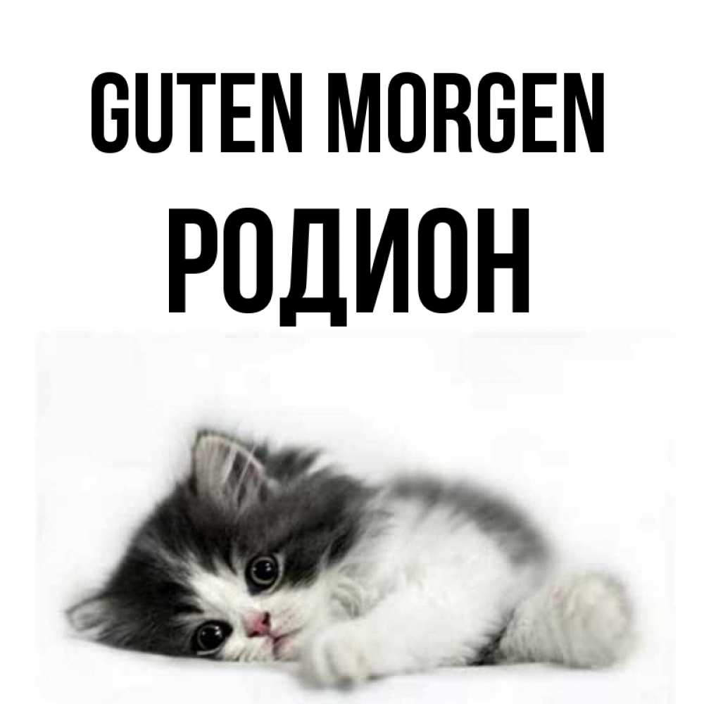 Открытка на каждый день с именем, Родион Guten Morgen кот лапки Прикольная открытка с пожеланием онлайн скачать бесплатно 