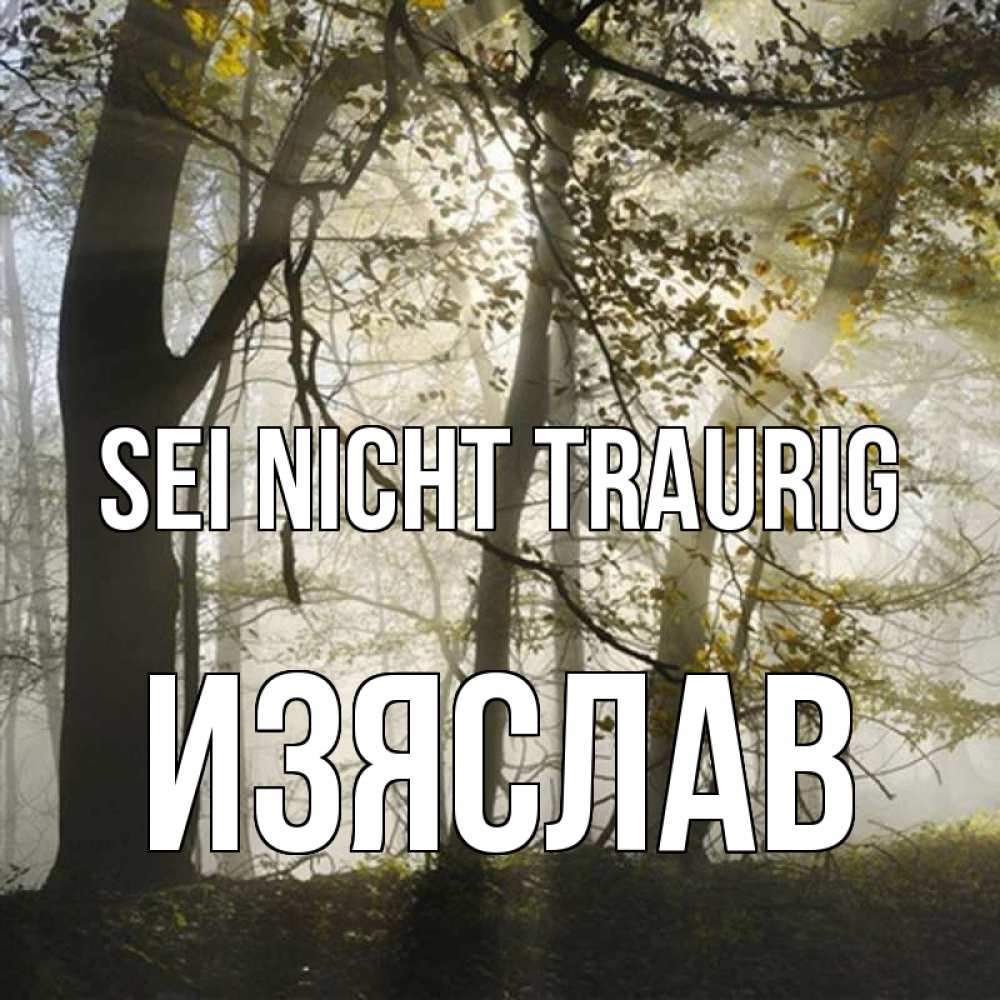 Открытка на каждый день с именем, Изяслав Sei nicht traurig лес и свет Прикольная открытка с пожеланием онлайн скачать бесплатно 