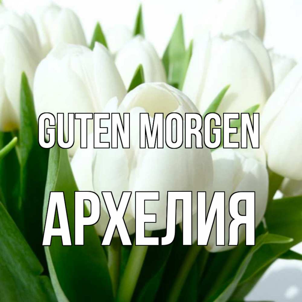 Открытка на каждый день с именем, Архелия Guten Morgen открытки на каждый день по именам Прикольная открытка с пожеланием онлайн скачать бесплатно 