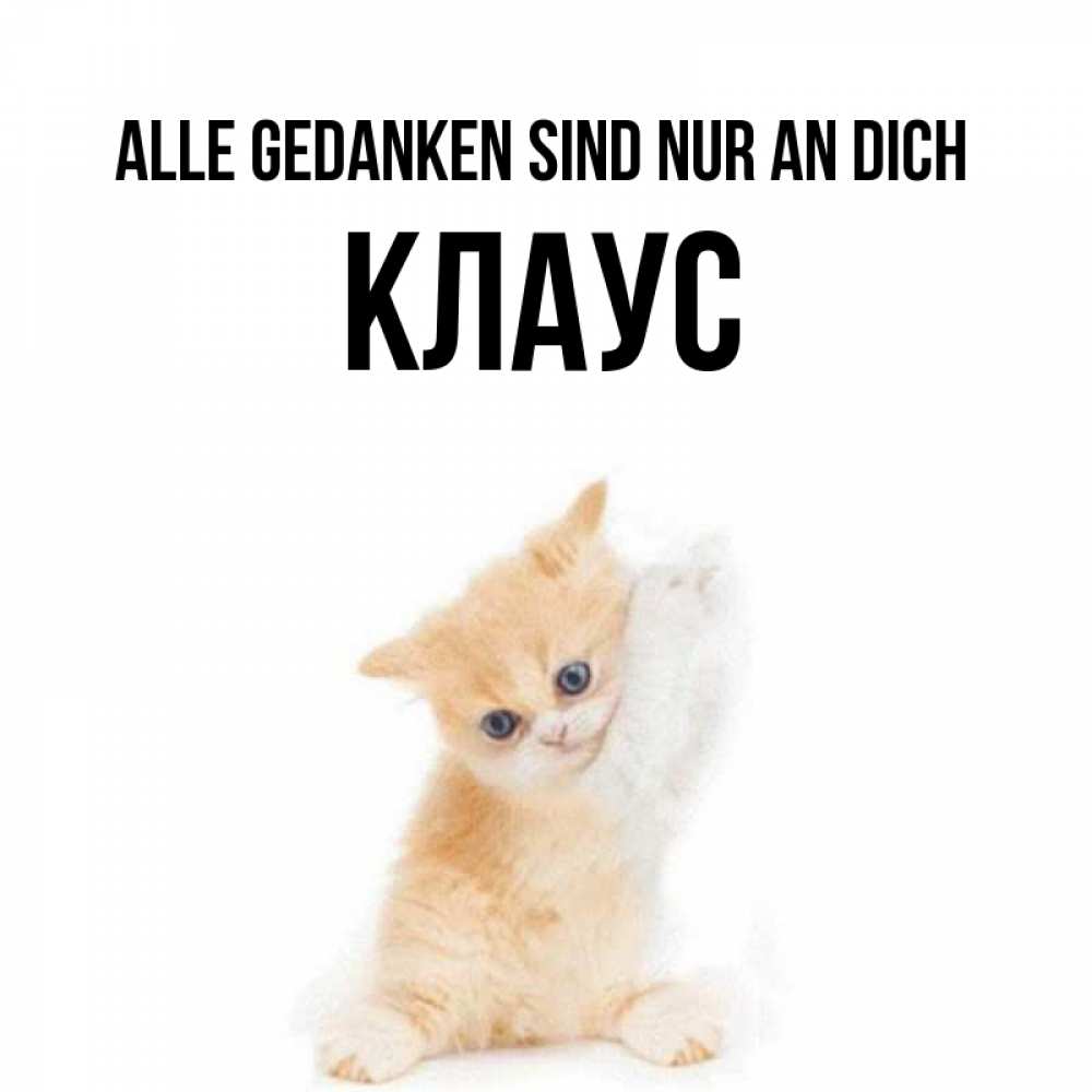 Открытка на каждый день с именем, Клаус Alle Gedanken sind nur an dich зверушки и милота Прикольная открытка с пожеланием онлайн скачать бесплатно 