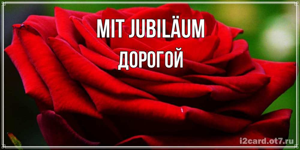 Открытка на каждый день с именем, Дорогой Mit Jubiläum розочка очень красивая Прикольная открытка с пожеланием онлайн скачать бесплатно 