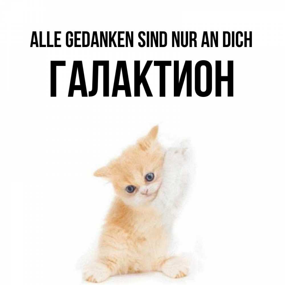 Открытка на каждый день с именем, Галактион Alle Gedanken sind nur an dich зверушки и милота Прикольная открытка с пожеланием онлайн скачать бесплатно 