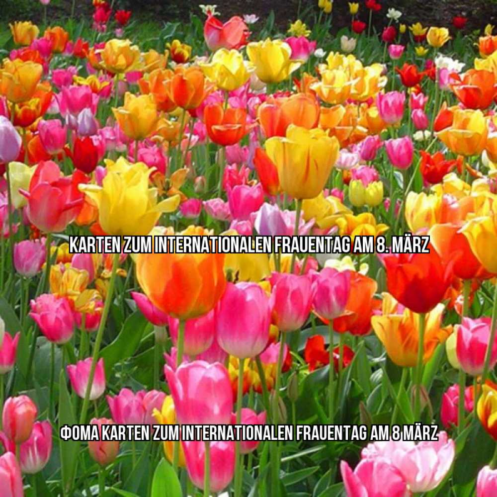 Картинка Karten zum Internationalen Frauentag am 8. März, Фома