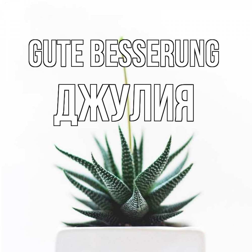Открытка на каждый день с именем, Джулия Gute Besserung короче это непонятная колючка Прикольная открытка с пожеланием онлайн скачать бесплатно 