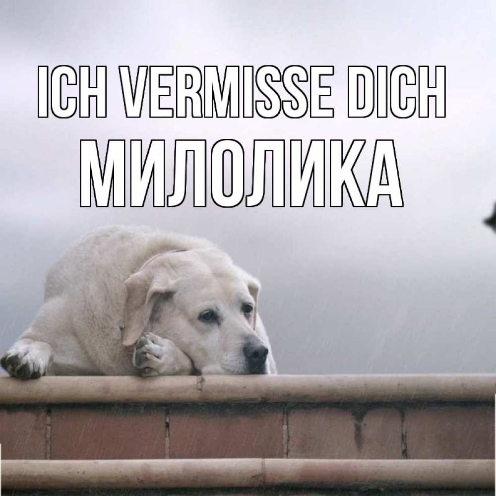 Открытка на каждый день с именем, Милолика Ich vermisse dich ждет Прикольная открытка с пожеланием онлайн скачать бесплатно 