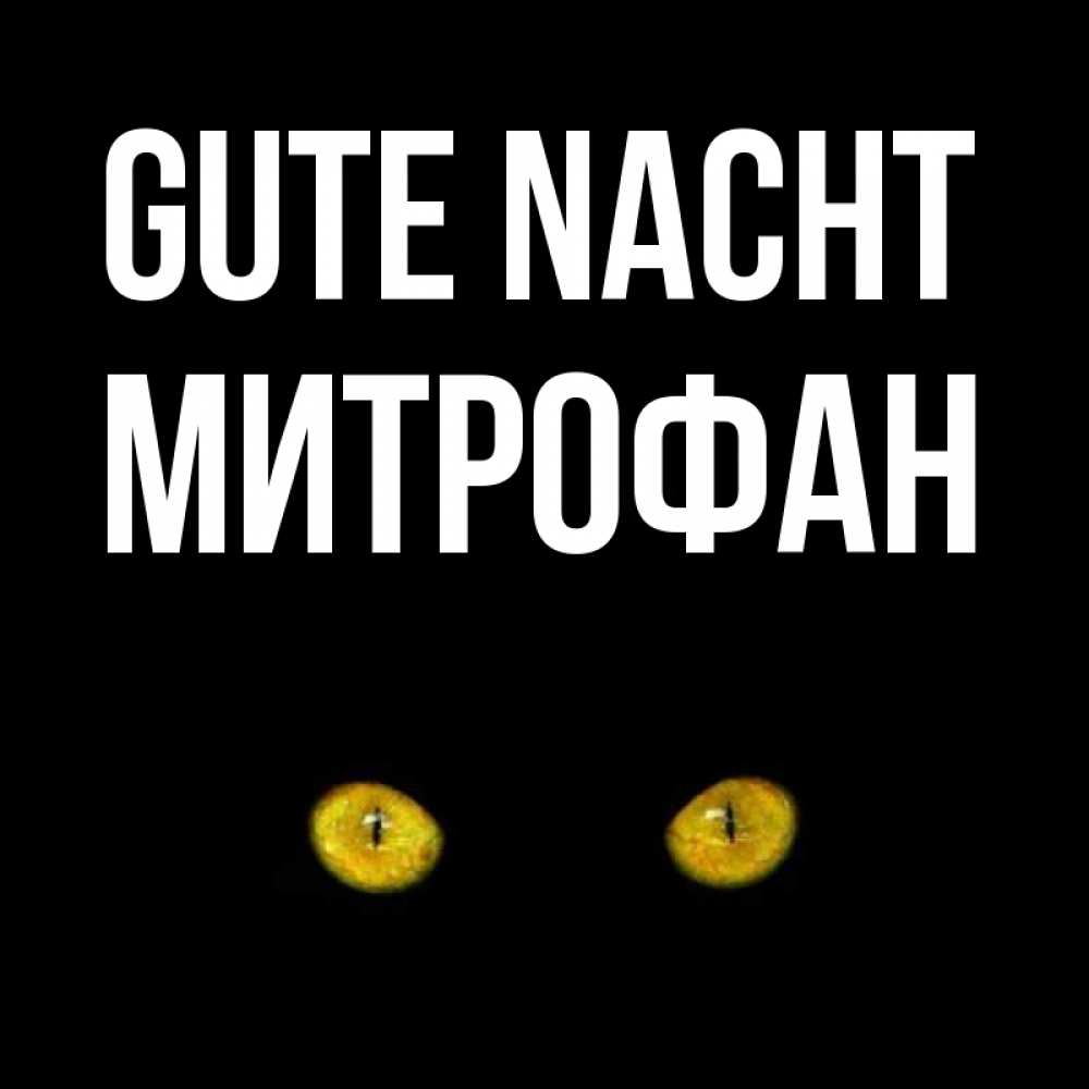 Открытка на каждый день с именем, Митрофан Gute Nacht сладких снов бесстрашный мой дружочек Прикольная открытка с пожеланием онлайн скачать бесплатно 