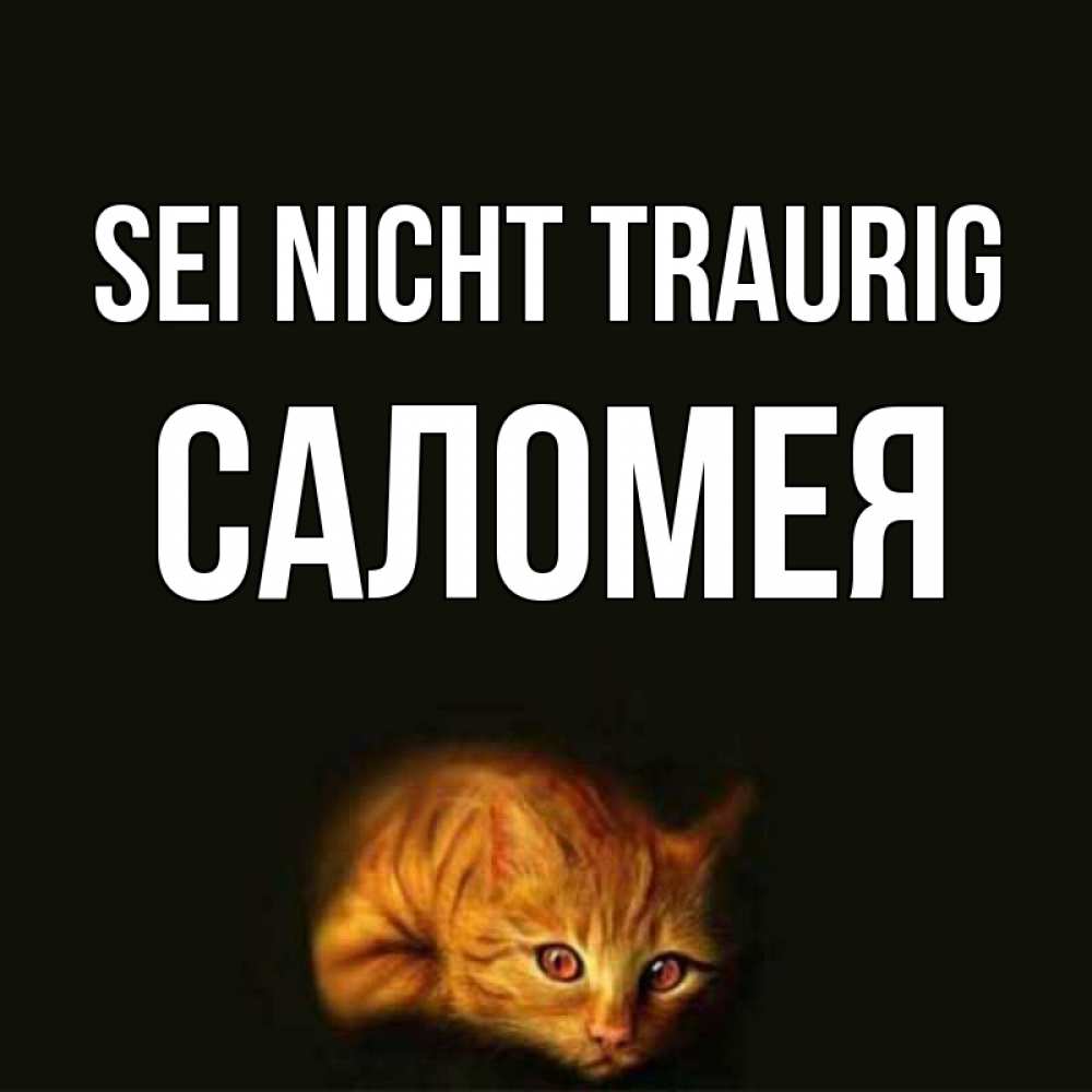 Открытка на каждый день с именем, Саломея Sei nicht traurig лежащий кот в темноте Прикольная открытка с пожеланием онлайн скачать бесплатно 
