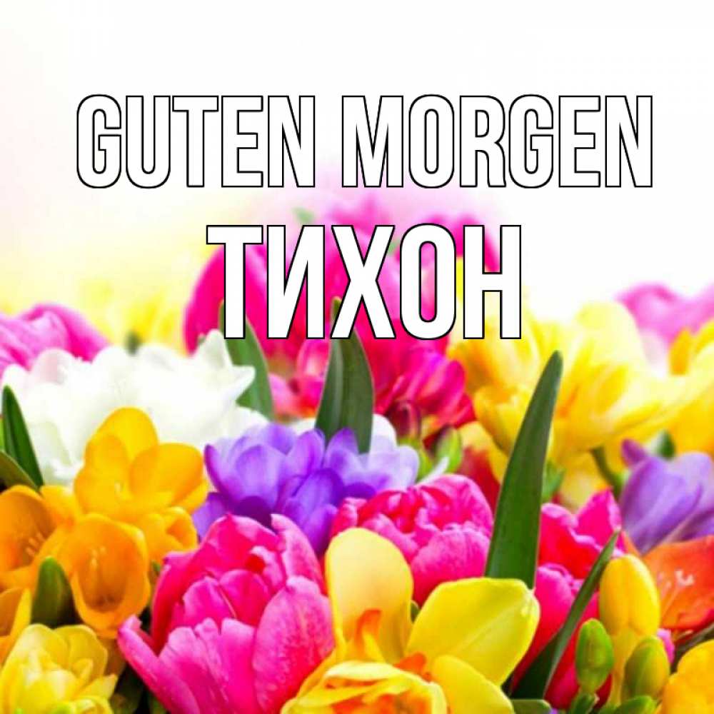 Открытка на каждый день с именем, Тихон Guten Morgen создать открытку со свое подписью Прикольная открытка с пожеланием онлайн скачать бесплатно 