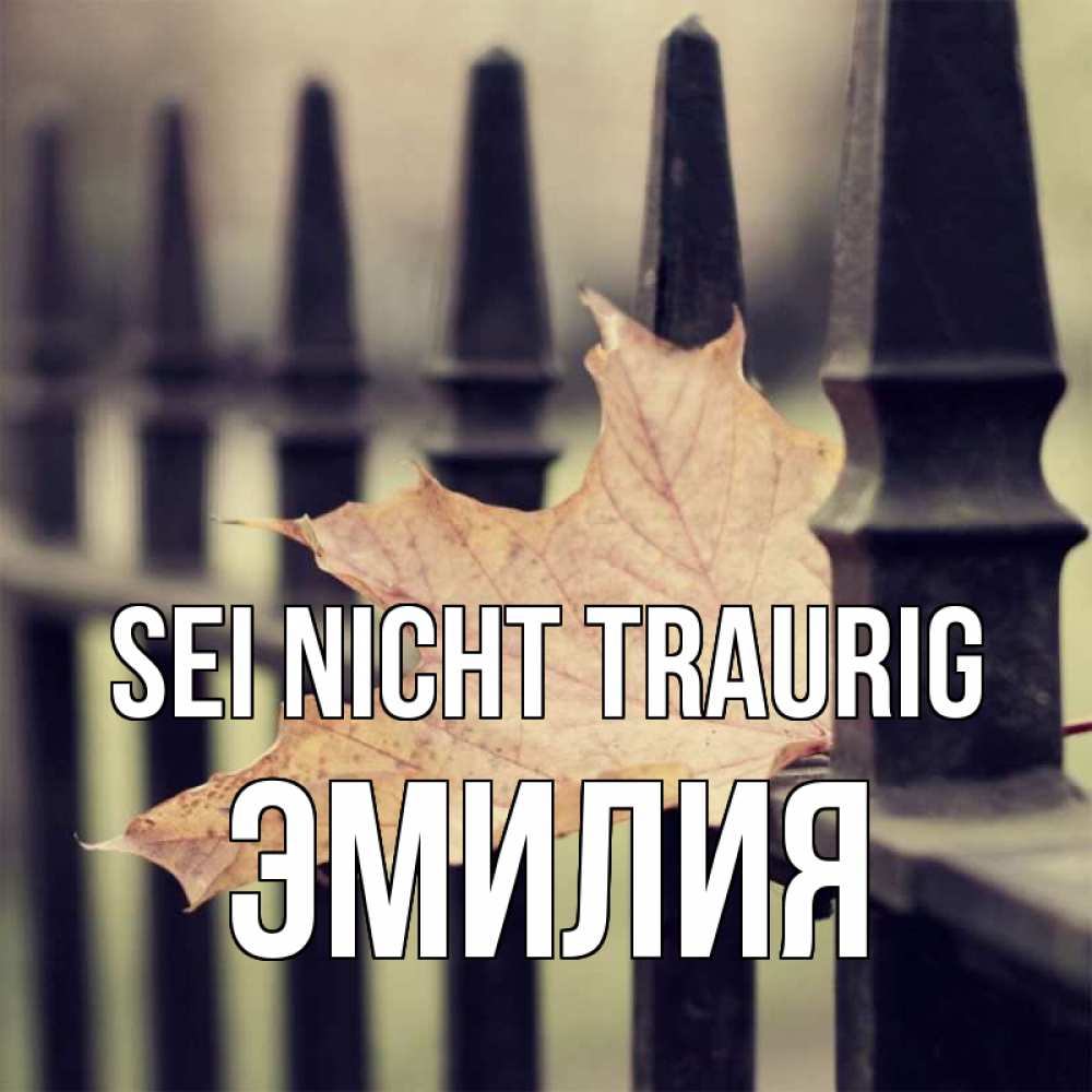 Открытка на каждый день с именем, Эмилия Sei nicht traurig лист клена Прикольная открытка с пожеланием онлайн скачать бесплатно 
