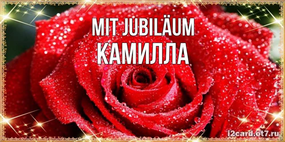 Открытка на каждый день с именем, Камилла Mit Jubiläum роса и роза. открытка с красивой розой Прикольная открытка с пожеланием онлайн скачать бесплатно 