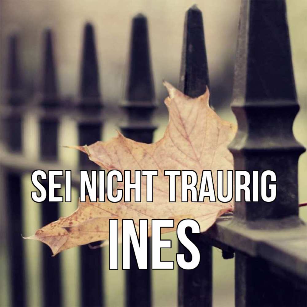 Открытка на каждый день с именем, Ines Sei nicht traurig лист клена Прикольная открытка с пожеланием онлайн скачать бесплатно 
