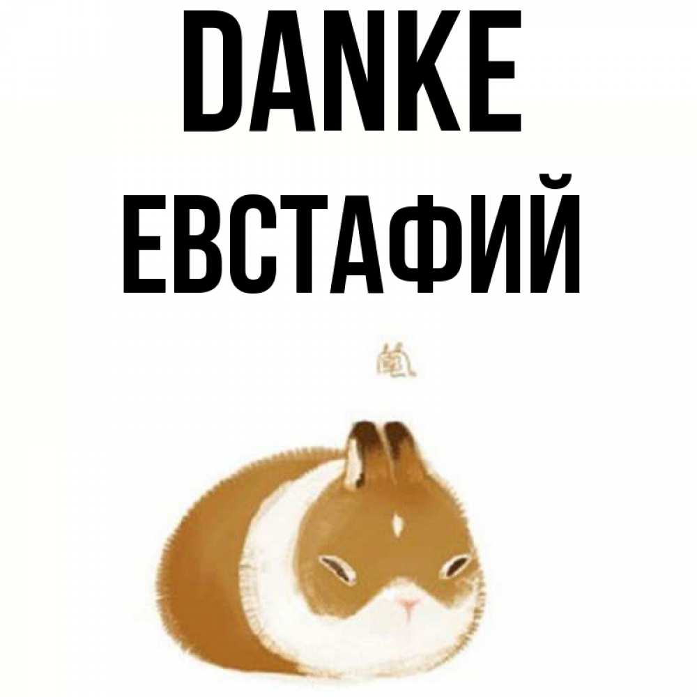 Открытка на каждый день с именем, Евстафий Danke коричнево белый домашний питомец Прикольная открытка с пожеланием онлайн скачать бесплатно 