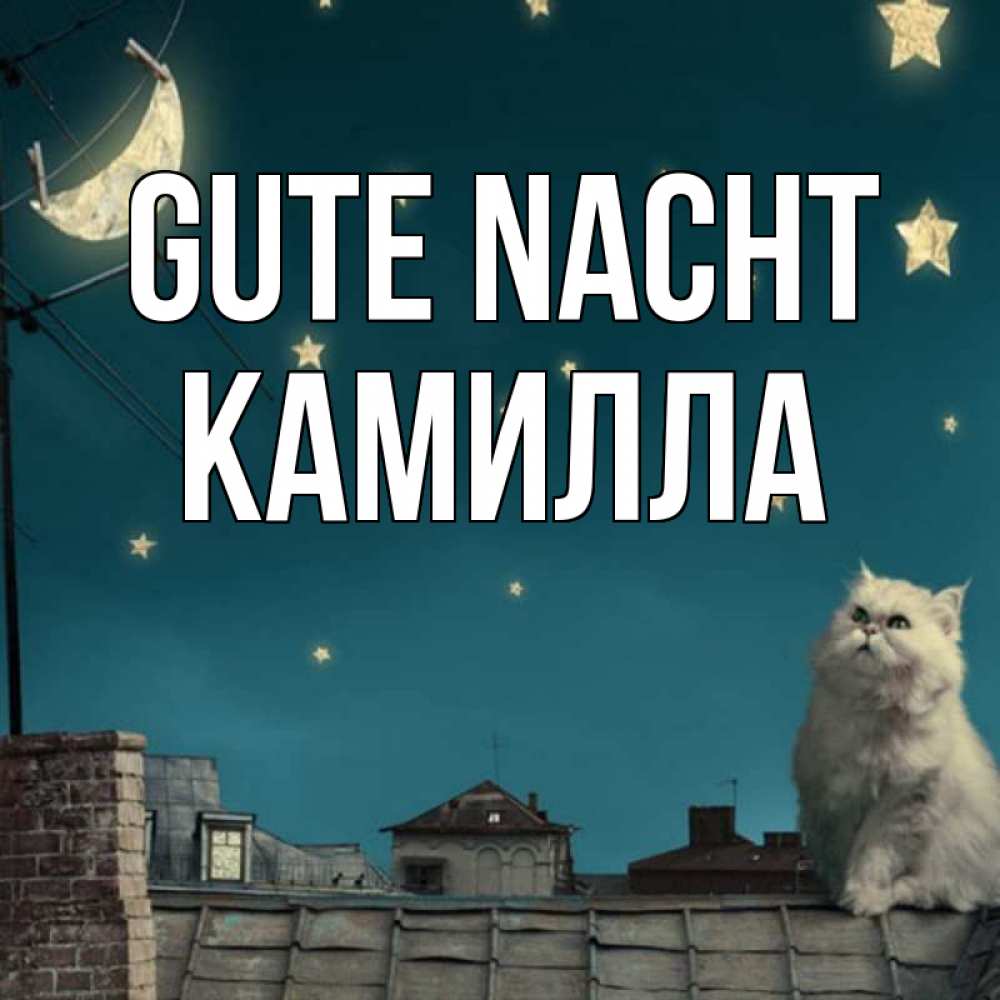 Открытка на каждый день с именем, Камилла Gute Nacht белый кот сидит на крыше Прикольная открытка с пожеланием онлайн скачать бесплатно 