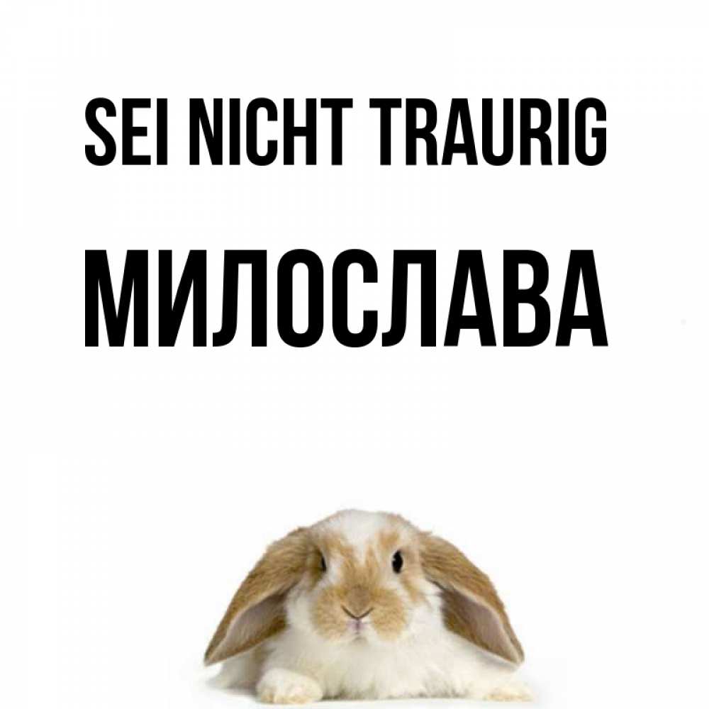 Открытка на каждый день с именем, Милослава Sei nicht traurig коричнево белый заяц с большими ушками Прикольная открытка с пожеланием онлайн скачать бесплатно 