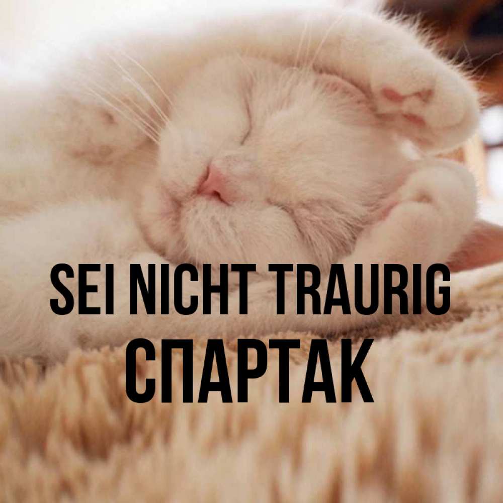 Открытка на каждый день с именем, Спартак Sei nicht traurig Котенок спит Прикольная открытка с пожеланием онлайн скачать бесплатно 