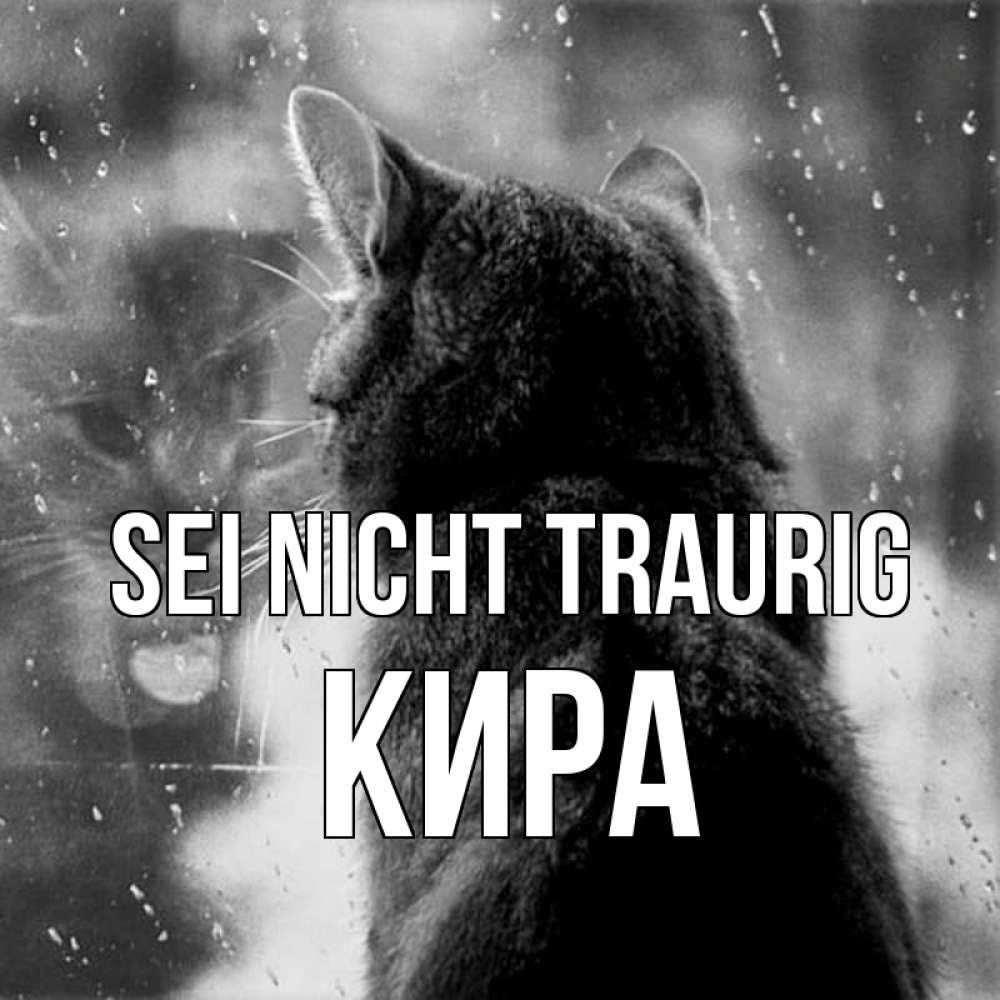 Открытка на каждый день с именем, Кира Sei nicht traurig отражение кота 1 Прикольная открытка с пожеланием онлайн скачать бесплатно 