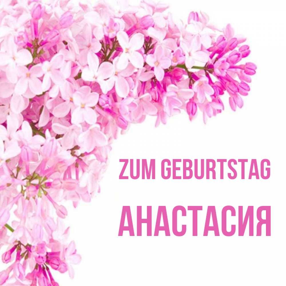 Открытка на каждый день с именем, Анастасия Zum Geburtstag Сирень на белом фоне Прикольная открытка с пожеланием онлайн скачать бесплатно 
