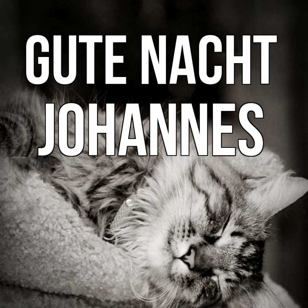 Открытка на каждый день с именем, Johannes Gute Nacht котярик пушистый Прикольная открытка с пожеланием онлайн скачать бесплатно 