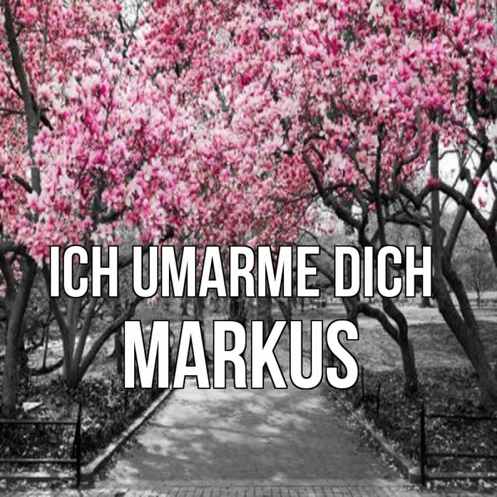 Открытка на каждый день с именем, Markus Ich umarme dich обработанное фото Прикольная открытка с пожеланием онлайн скачать бесплатно 