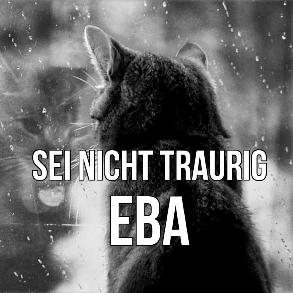 Открытка на каждый день с именем, Ева Sei nicht traurig отражение кота 1 Прикольная открытка с пожеланием онлайн скачать бесплатно 