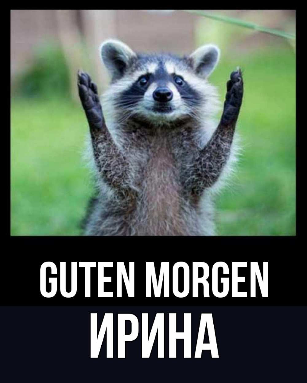 Открытка на каждый день с именем, Ирина Guten Morgen хорошее настроение утречком Прикольная открытка с пожеланием онлайн скачать бесплатно 