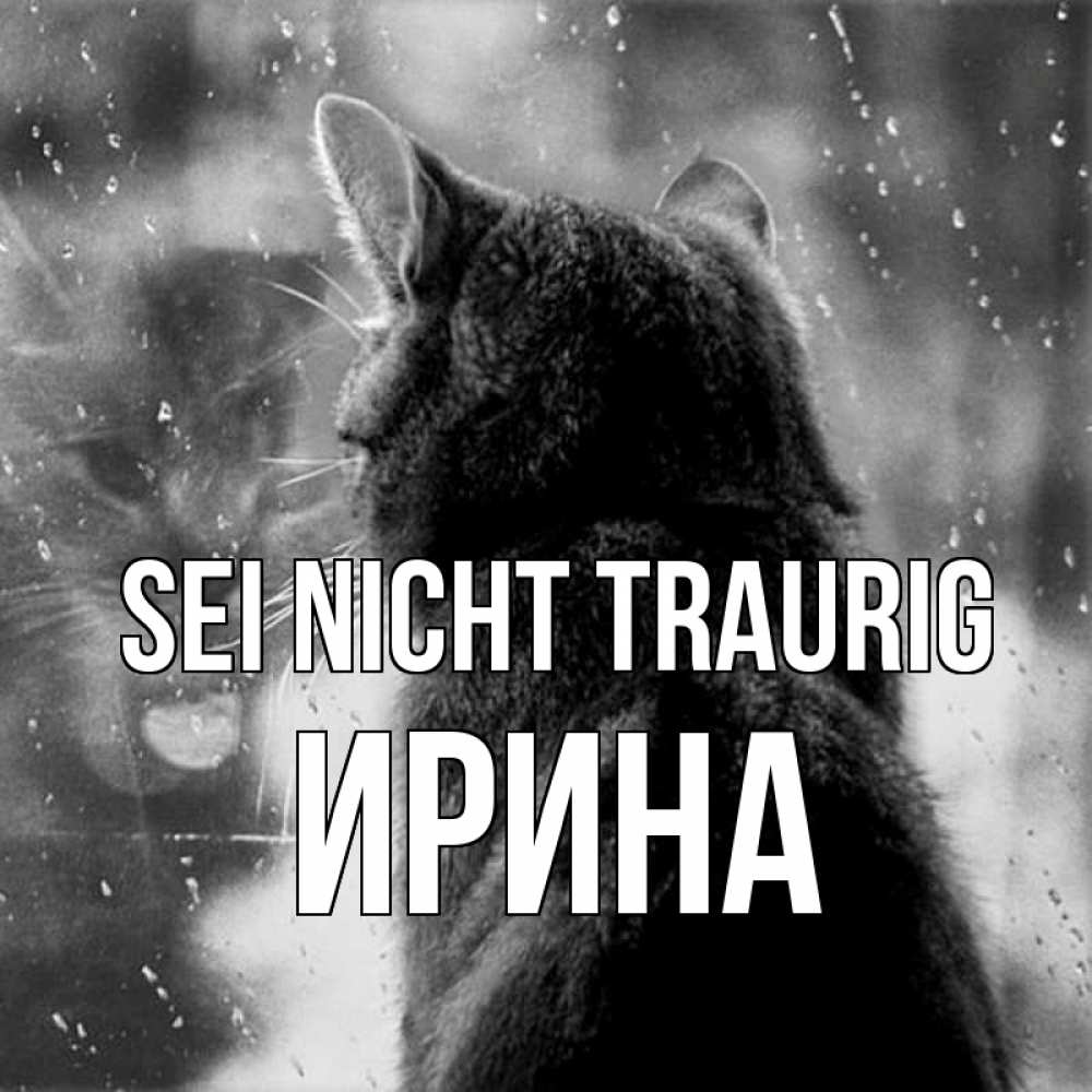 Открытка на каждый день с именем, Ирина Sei nicht traurig отражение кота 1 Прикольная открытка с пожеланием онлайн скачать бесплатно 