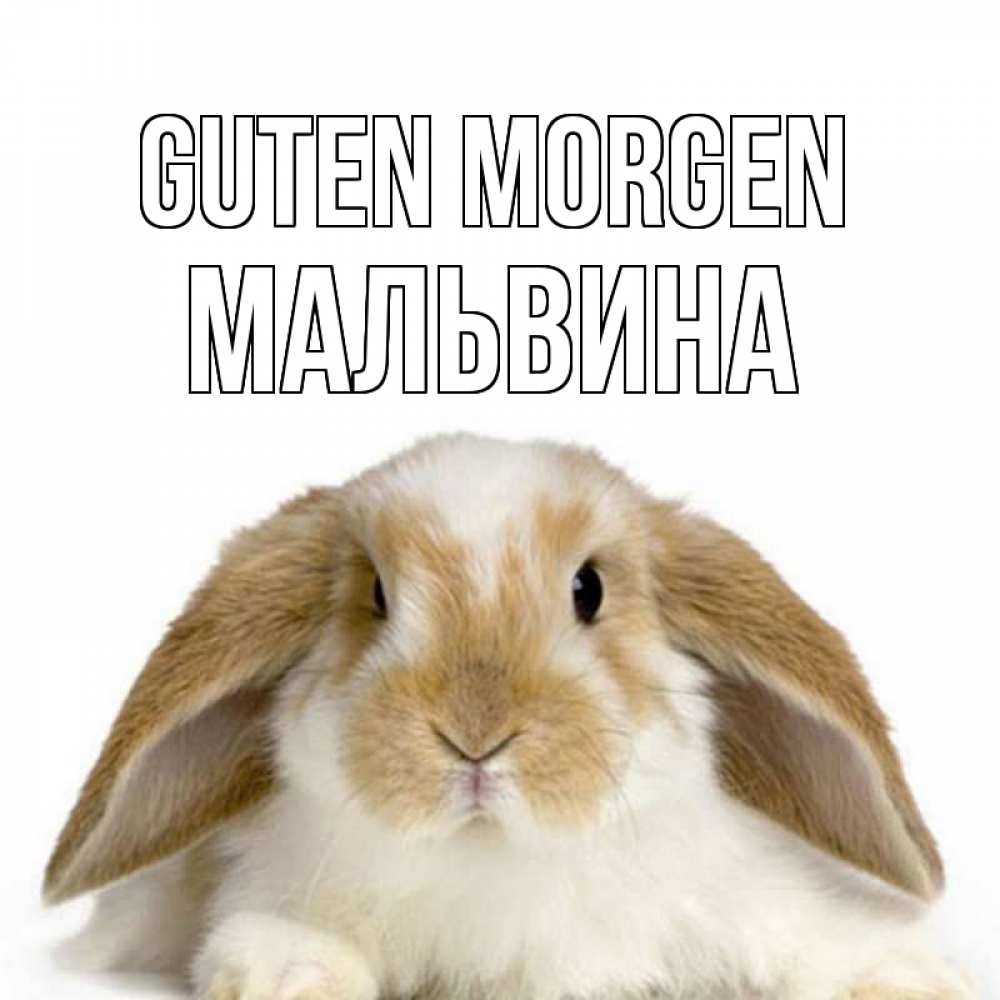 Открытка на каждый день с именем, Мальвина Guten Morgen прикольные открытки на каждый день Прикольная открытка с пожеланием онлайн скачать бесплатно 