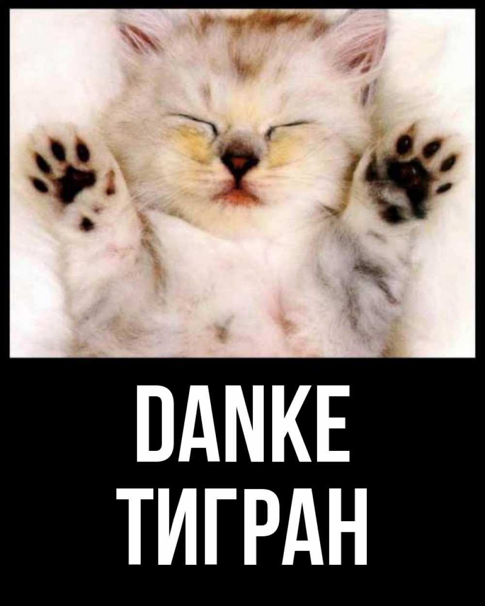 Открытка на каждый день с именем, Тигран Danke маленький котенок Прикольная открытка с пожеланием онлайн скачать бесплатно 