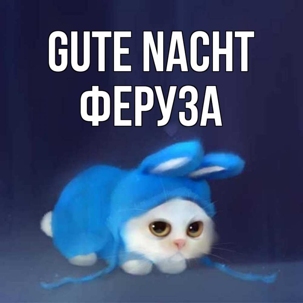 Открытка на каждый день с именем, Феруза Gute Nacht кот в голубом костюме кролика с ушками Прикольная открытка с пожеланием онлайн скачать бесплатно 