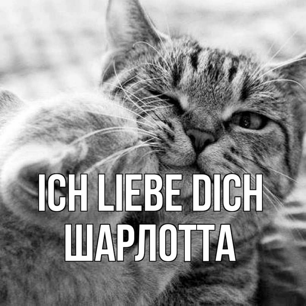 Открытка на каждый день с именем, Шарлотта Ich liebe dich коты Прикольная открытка с пожеланием онлайн скачать бесплатно 