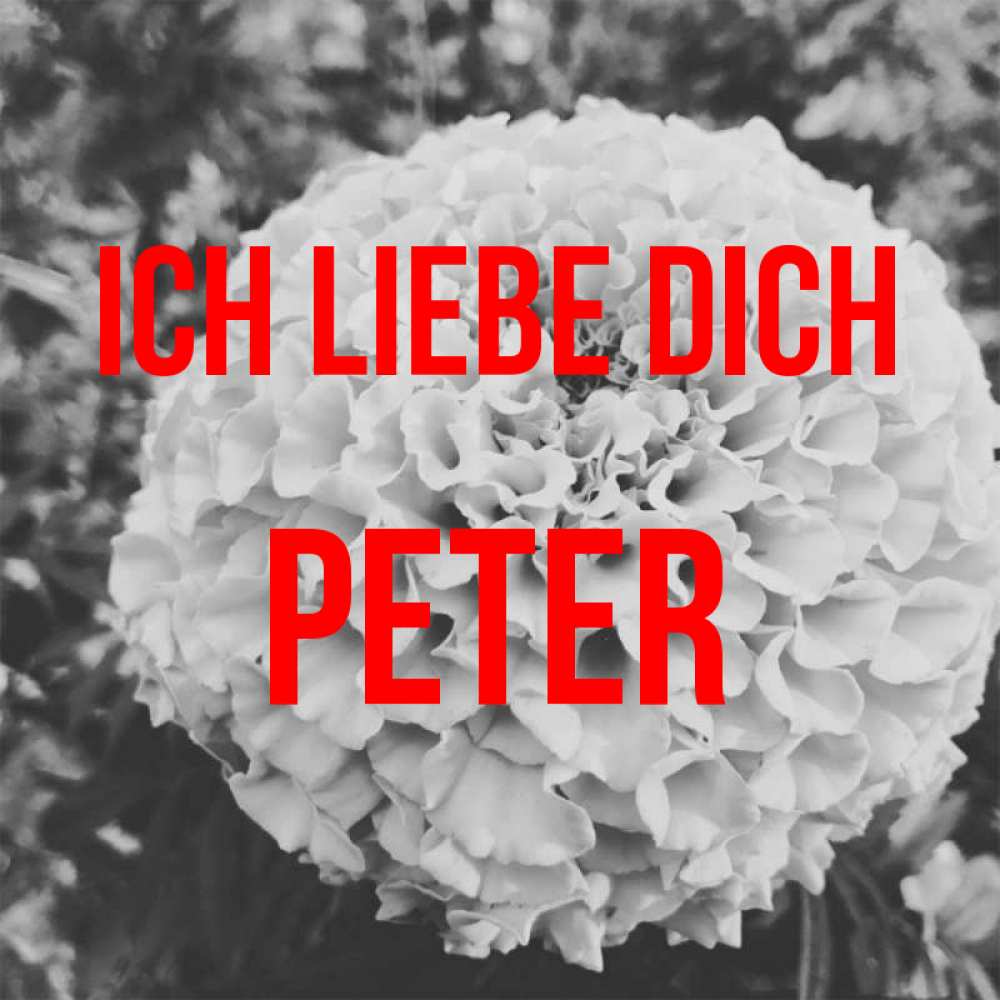 Открытка на каждый день с именем, Peter Ich liebe dich подпись Прикольная открытка с пожеланием онлайн скачать бесплатно 