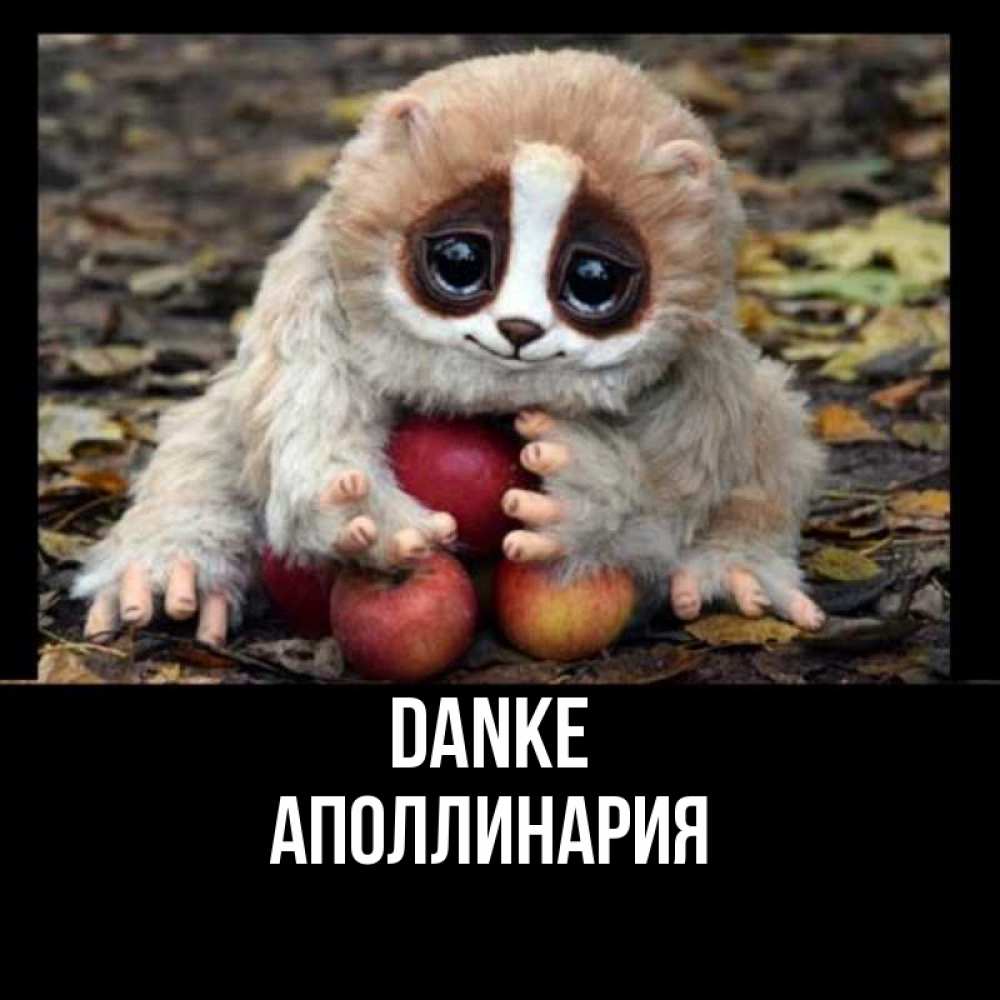 Открытка на каждый день с именем, Аполлинария Danke прикольное животное Прикольная открытка с пожеланием онлайн скачать бесплатно 