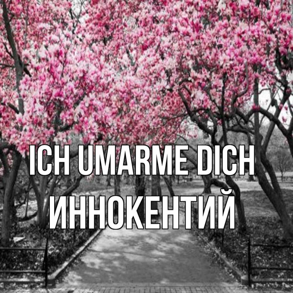 Открытка на каждый день с именем, Иннокентий Ich umarme dich обработанное фото Прикольная открытка с пожеланием онлайн скачать бесплатно 