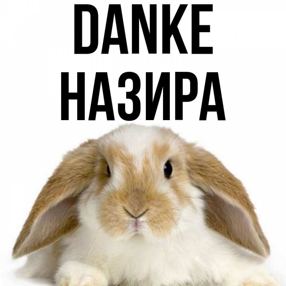 Открытка на каждый день с именем, Назира Danke коричнево белый заяц Прикольная открытка с пожеланием онлайн скачать бесплатно 