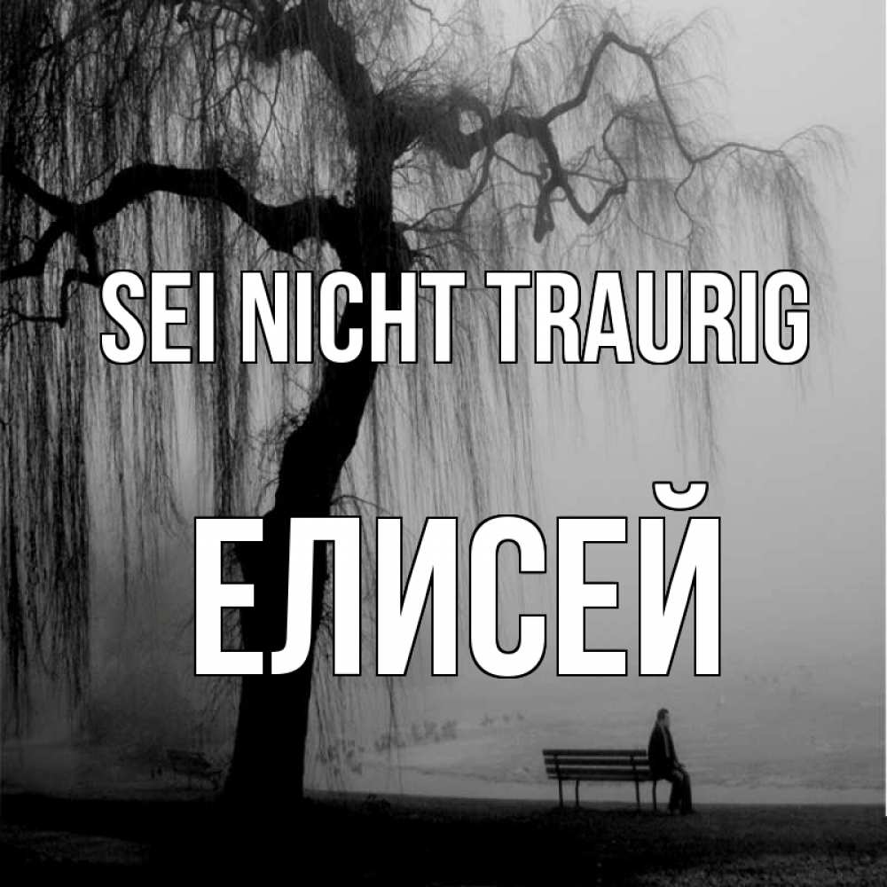 Открытка на каждый день с именем, Елисей Sei nicht traurig висящие ветки дерева и лавочка под деревом Прикольная открытка с пожеланием онлайн скачать бесплатно 