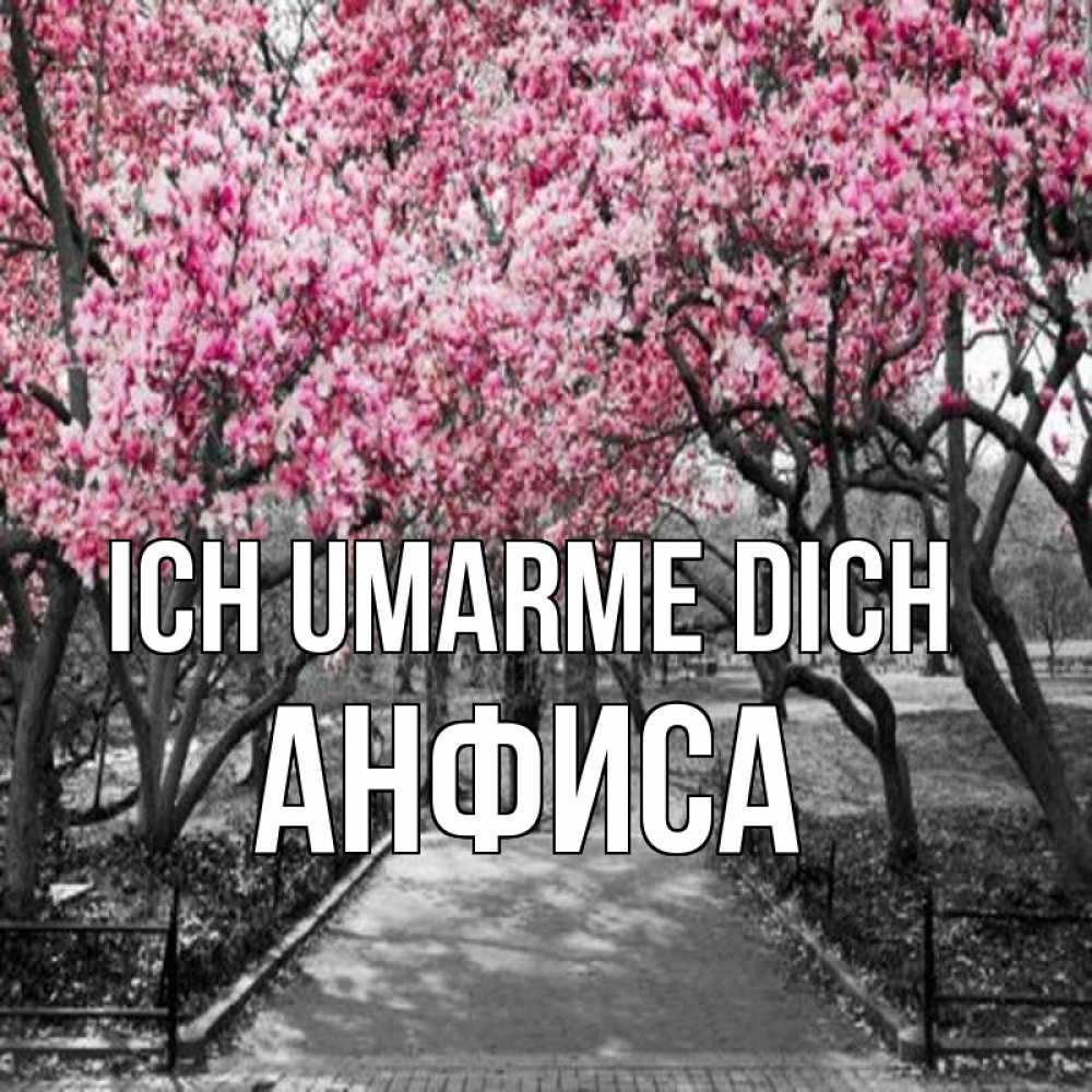 Открытка на каждый день с именем, Анфиса Ich umarme dich обработанное фото Прикольная открытка с пожеланием онлайн скачать бесплатно 