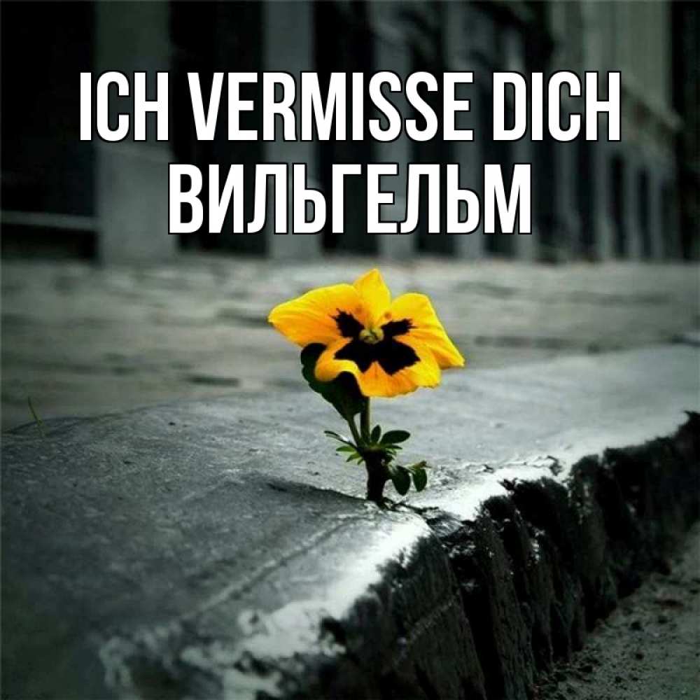 Открытка на каждый день с именем, Вильгельм Ich vermisse dich надеюсь будет лучше Прикольная открытка с пожеланием онлайн скачать бесплатно 