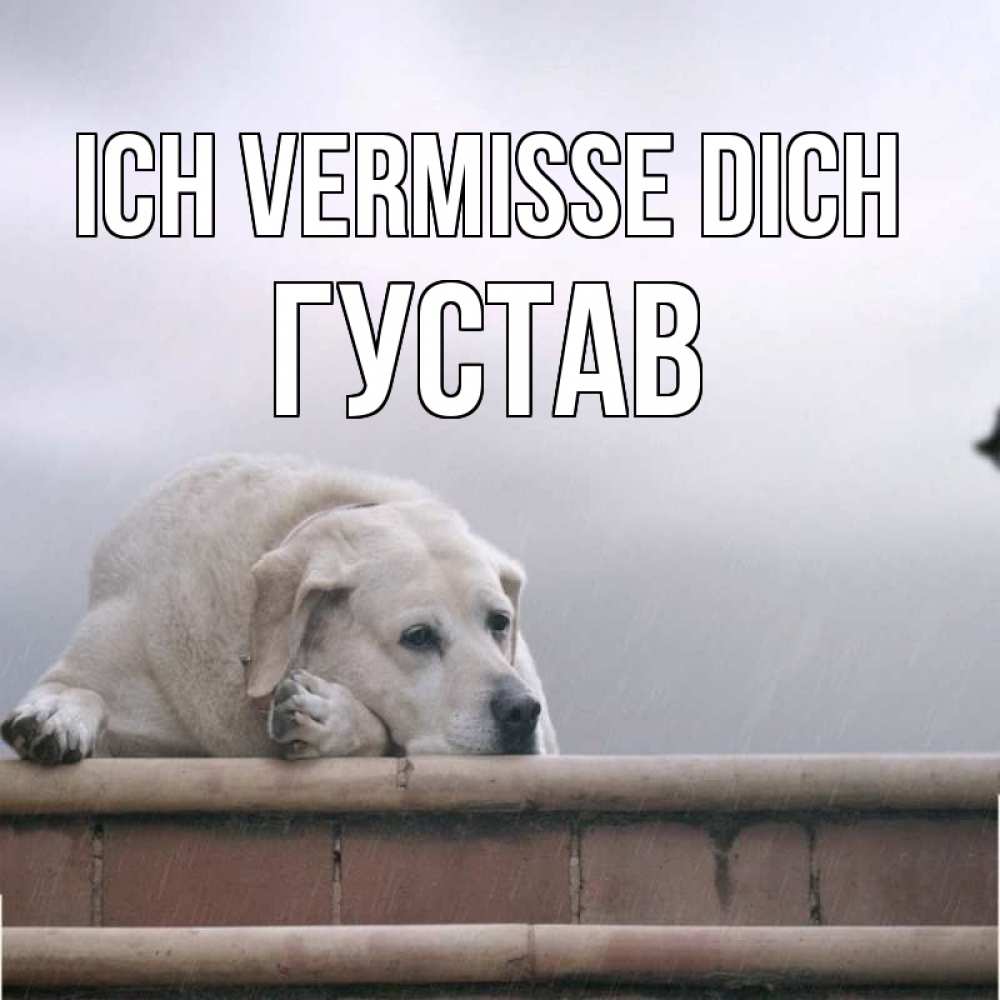 Открытка на каждый день с именем, Густав Ich vermisse dich ждет Прикольная открытка с пожеланием онлайн скачать бесплатно 