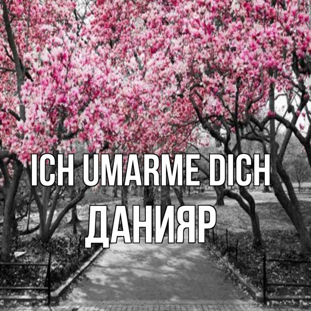 Открытка на каждый день с именем, Данияр Ich umarme dich обработанное фото Прикольная открытка с пожеланием онлайн скачать бесплатно 