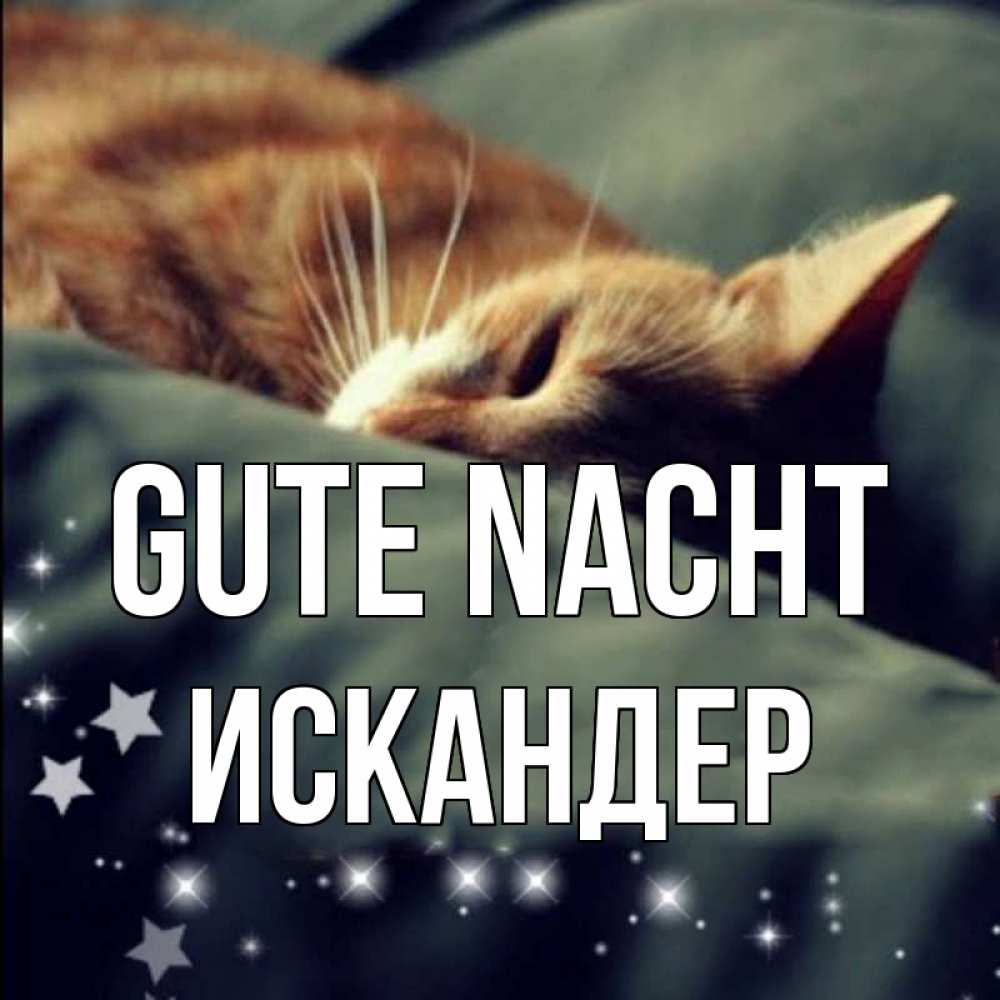 Открытка на каждый день с именем, Искандер Gute Nacht кроватка Прикольная открытка с пожеланием онлайн скачать бесплатно 