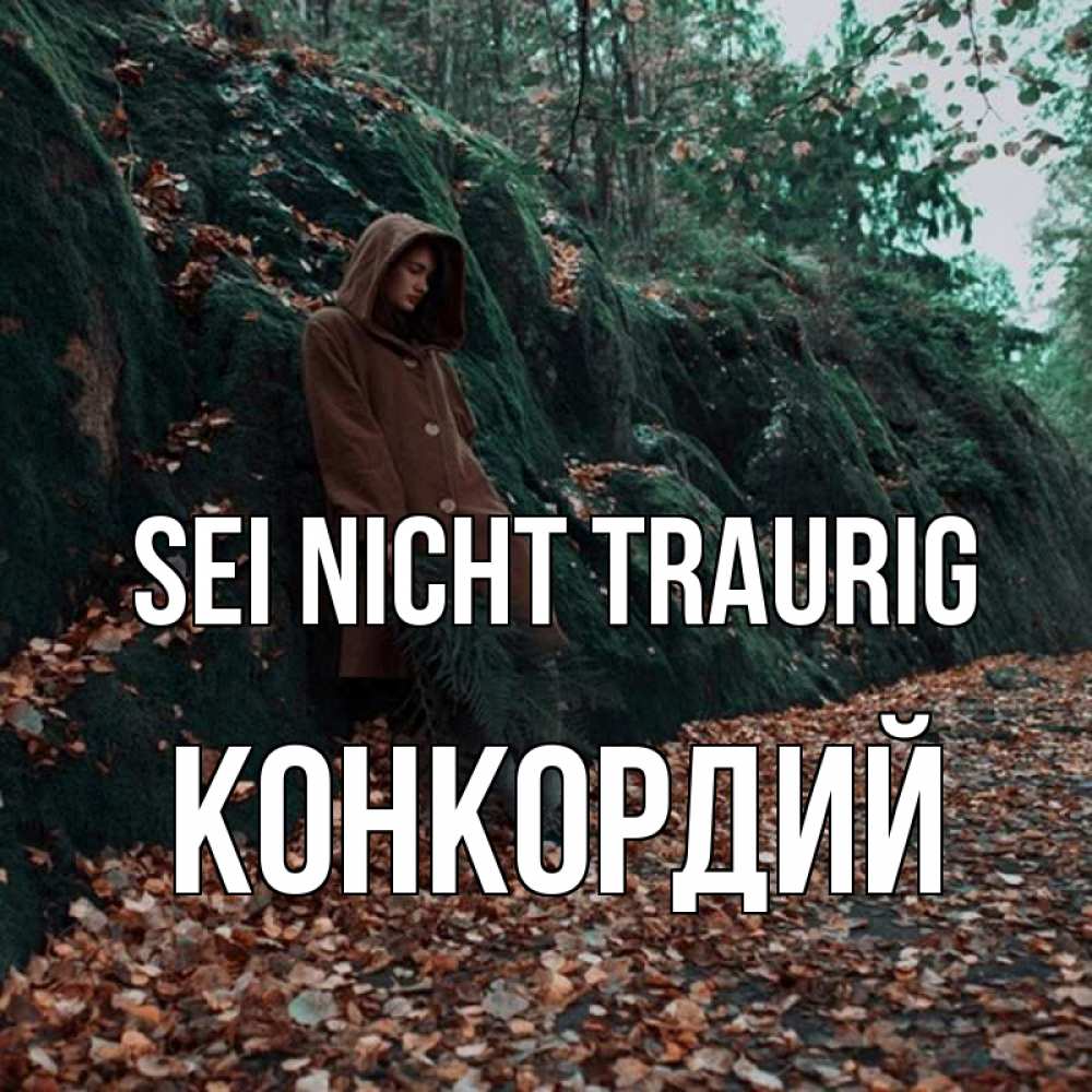 Открытка на каждый день с именем, Конкордий Sei nicht traurig осенний лес Прикольная открытка с пожеланием онлайн скачать бесплатно 