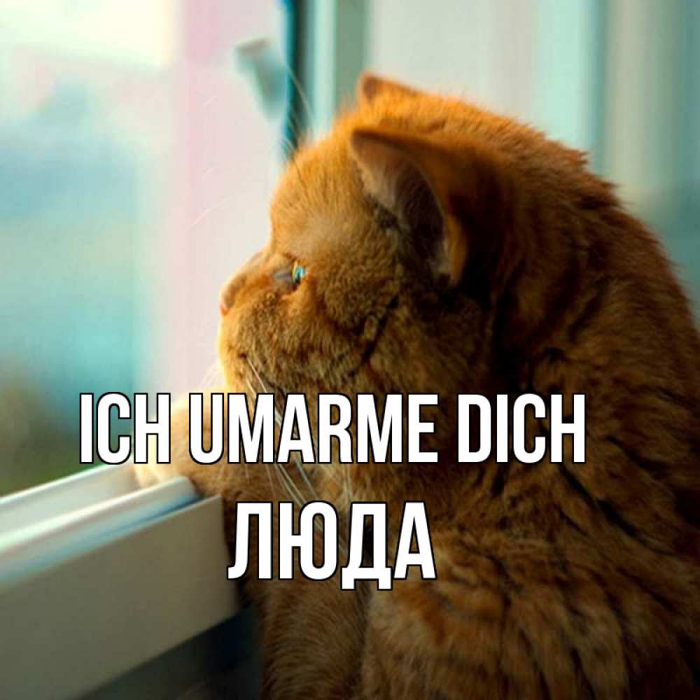 Открытка на каждый день с именем, Люда Ich umarme dich большой огромный рыжий котяра Прикольная открытка с пожеланием онлайн скачать бесплатно 