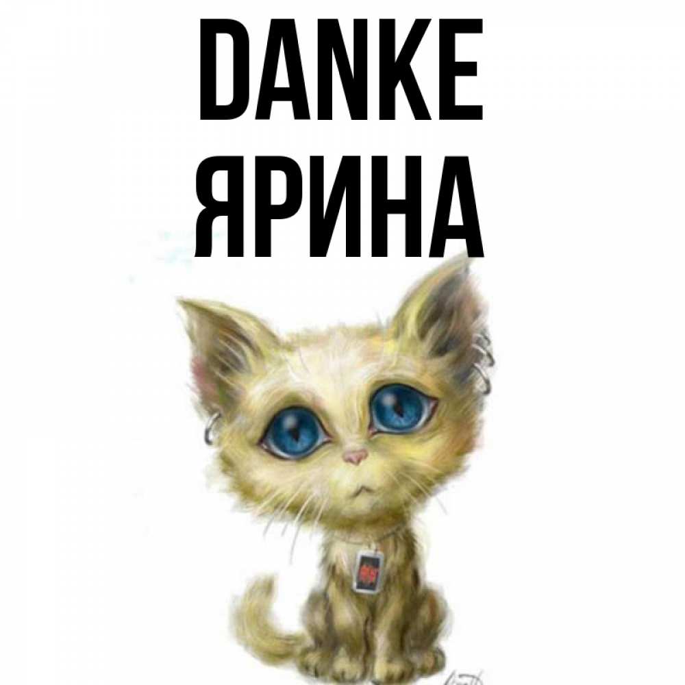 Открытка на каждый день с именем, Ярина Danke рисованный кот благодарит вас Прикольная открытка с пожеланием онлайн скачать бесплатно 