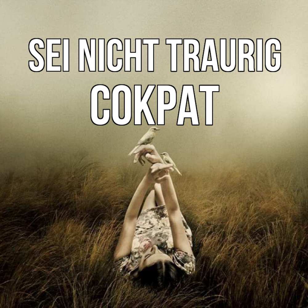 Открытка на каждый день с именем, Сократ Sei nicht traurig поле и туман Прикольная открытка с пожеланием онлайн скачать бесплатно 