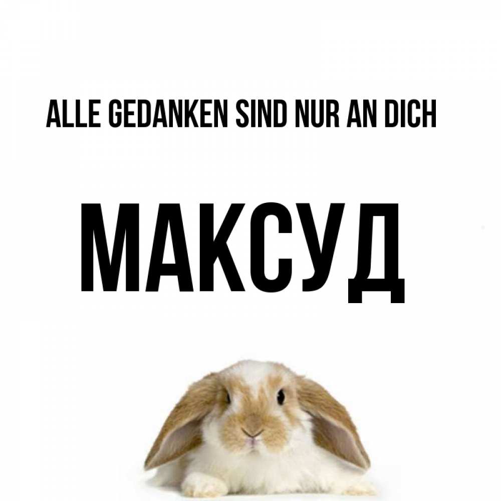 Открытка на каждый день с именем, Максуд Alle Gedanken sind nur an dich подписать своими руками онлайн Прикольная открытка с пожеланием онлайн скачать бесплатно 